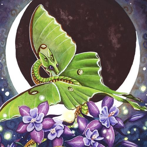 Dragon Art: Green dragon with green lunar moth wings, flying amongst purple columbine flowers.